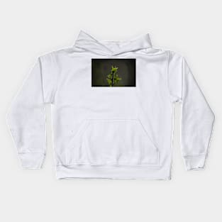 New Growth Spring Kids Hoodie